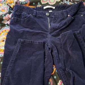 Blue  Corduroy skinny pants